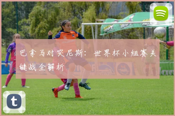 巴拿马对突尼斯：世界杯小组赛关键战全解析