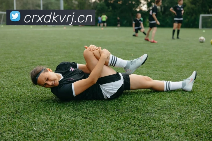 星空官网登陆入口APP 封面图